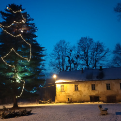 Rozsvícení zámeckého vánočního stromu při poslechu hudby